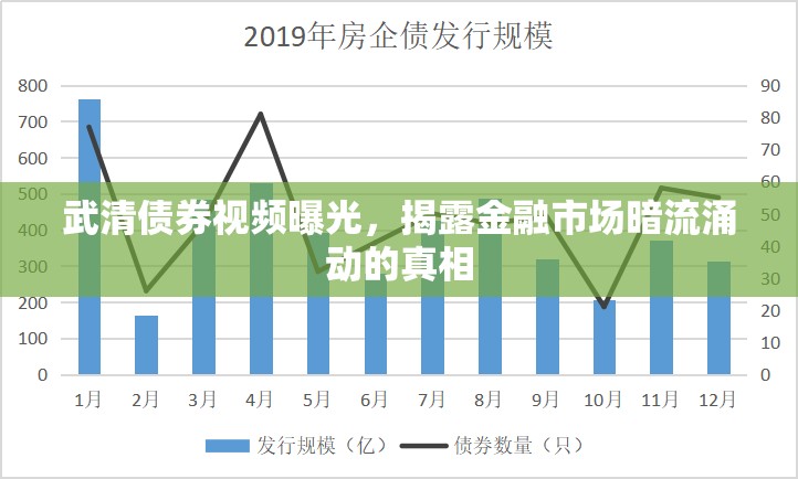 武清債券視頻曝光，揭露金融市場暗流涌動的真相