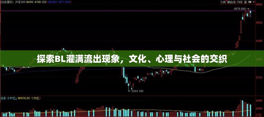 探索BL灌滿流出現(xiàn)象，文化、心理與社會(huì)的交織