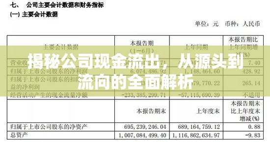 揭秘公司現(xiàn)金流出，從源頭到流向的全面解析