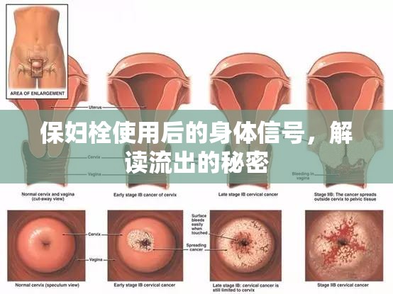 保婦栓使用后的身體信號，解讀流出的秘密