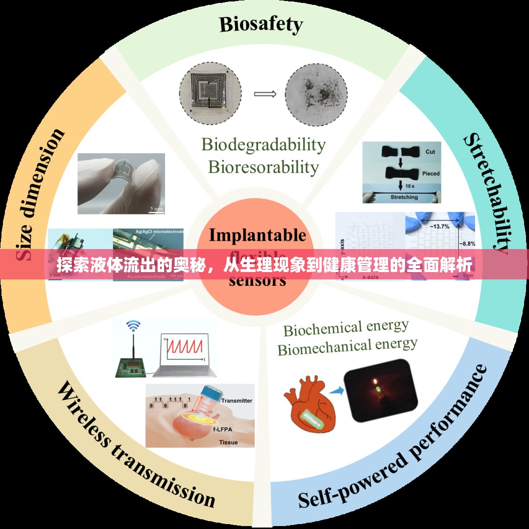 探索液體流出的奧秘，從生理現(xiàn)象到健康管理的全面解析