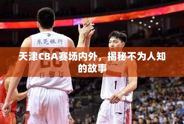 天津CBA賽場內(nèi)外，揭秘不為人知的故事