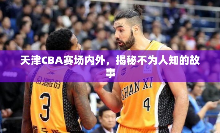 天津CBA賽場內(nèi)外，揭秘不為人知的故事