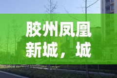 膠州鳳凰新城，城市新篇章的崛起與未來展望