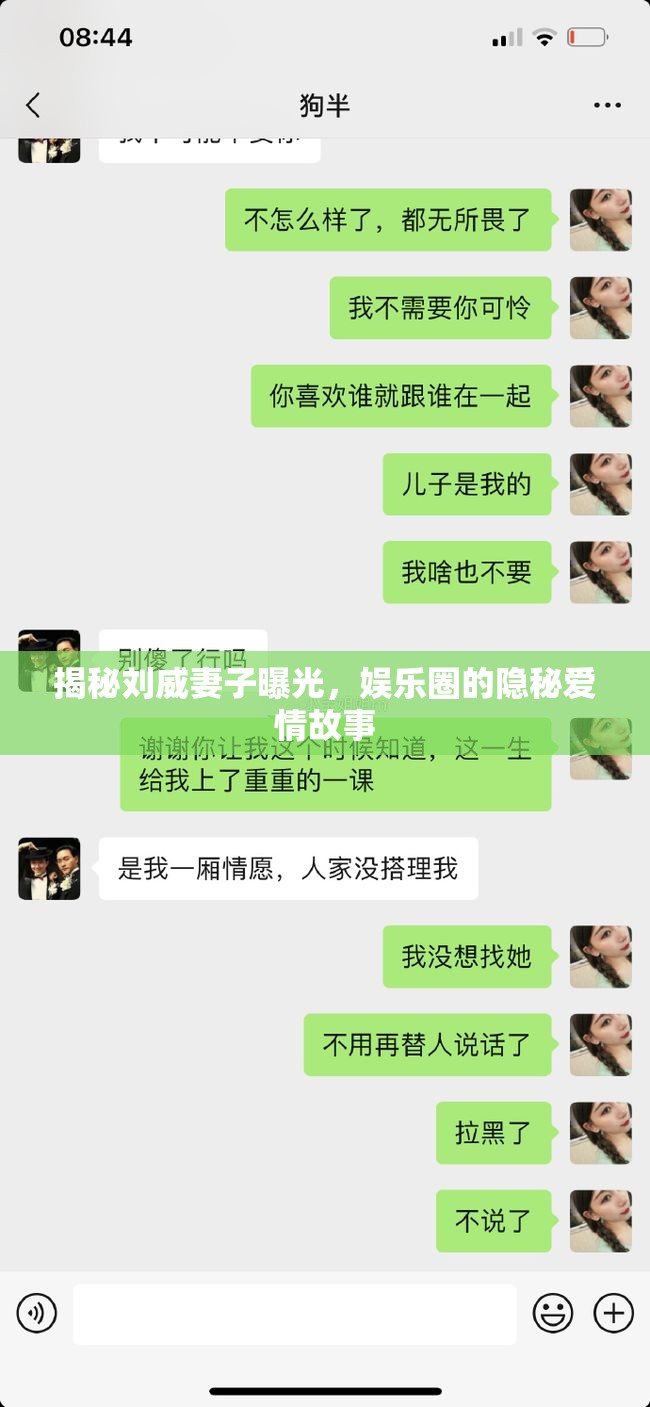 揭秘劉威妻子曝光，娛樂圈的隱秘愛情故事