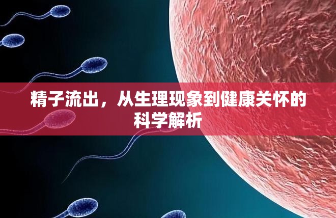 精子流出，從生理現(xiàn)象到健康關(guān)懷的科學(xué)解析