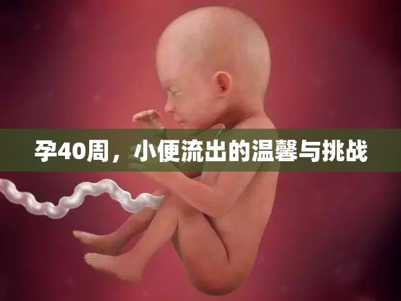 孕40周，小便流出的溫馨與挑戰(zhàn)