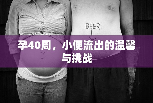 孕40周，小便流出的溫馨與挑戰(zhàn)