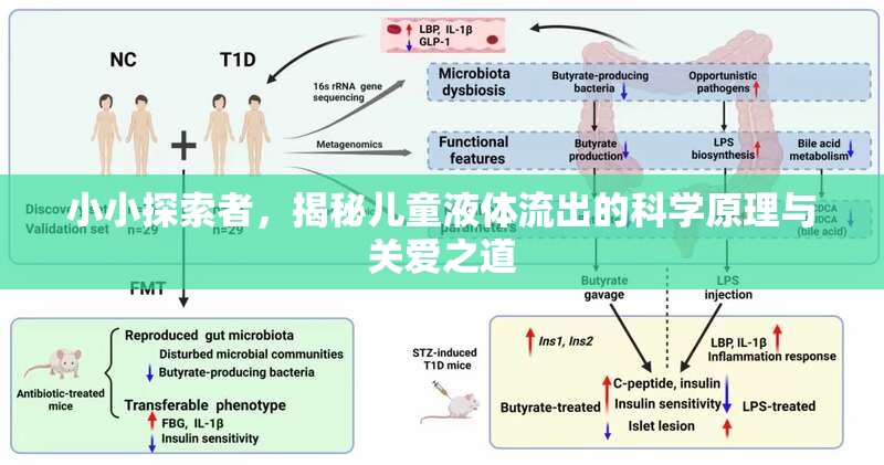 小小探索者，揭秘兒童液體流出的科學(xué)原理與關(guān)愛之道