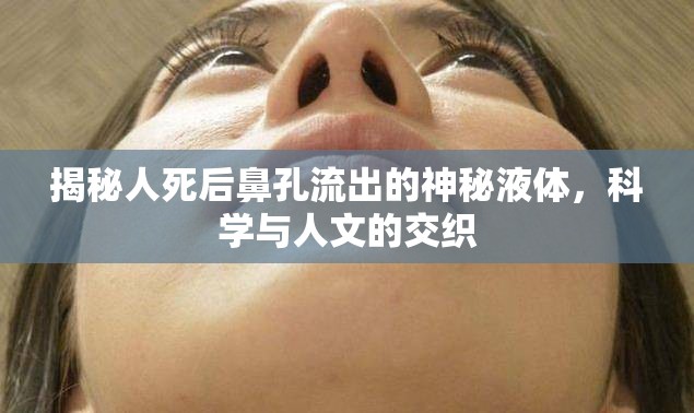 揭秘人死后鼻孔流出的神秘液體，科學(xué)與人文的交織