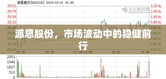 派思股份，市場波動中的穩(wěn)健前行