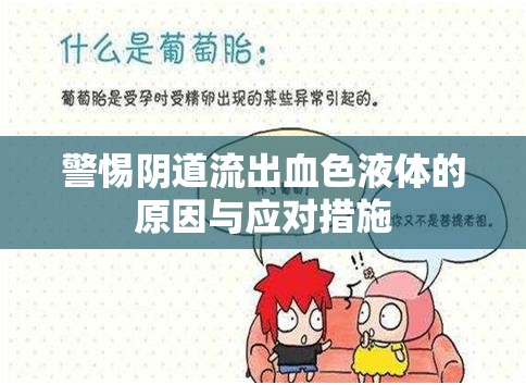 警惕陰道流出血色液體的原因與應對措施