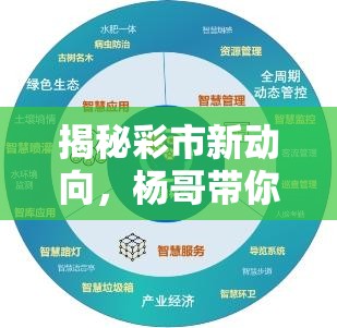 揭秘彩市新動(dòng)向，楊哥帶你共探數(shù)字背后的智慧