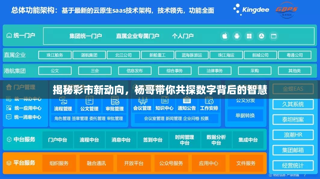 揭秘彩市新動(dòng)向，楊哥帶你共探數(shù)字背后的智慧