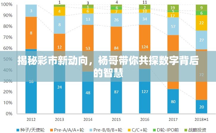 揭秘彩市新動(dòng)向，楊哥帶你共探數(shù)字背后的智慧