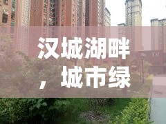 漢城湖畔，城市綠洲的最新篇章