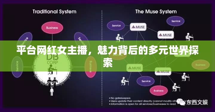 平臺(tái)網(wǎng)紅女主播，魅力背后的多元世界探索