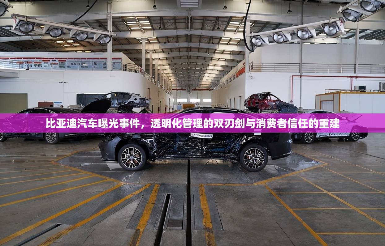 比亞迪汽車曝光事件，透明化管理的雙刃劍與消費(fèi)者信任的重建