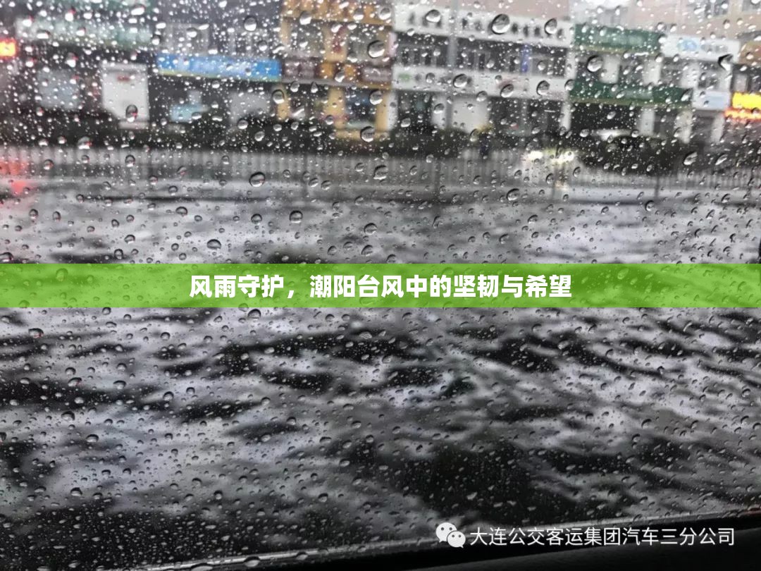 風雨守護，潮陽臺風中的堅韌與希望