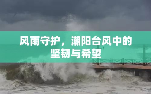 風(fēng)雨守護(hù)，潮陽臺風(fēng)中的堅(jiān)韌與希望