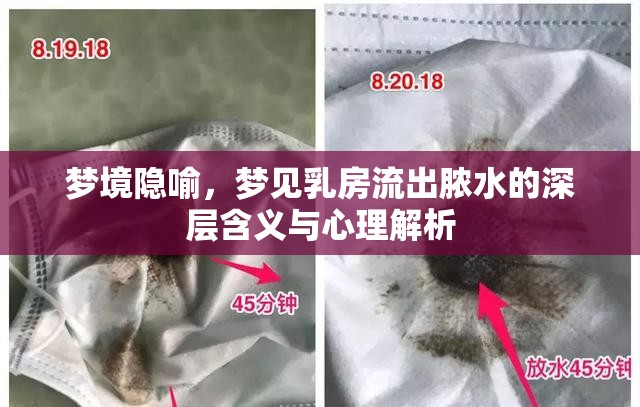 夢境隱喻，夢見乳房流出膿水的深層含義與心理解析