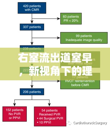 右室流出道室早，新視角下的理解、診斷與治療策略