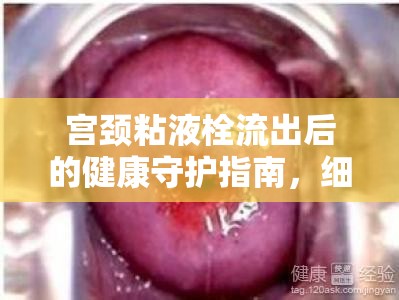 宮頸粘液栓流出后的健康守護(hù)指南，細(xì)節(jié)決定健康