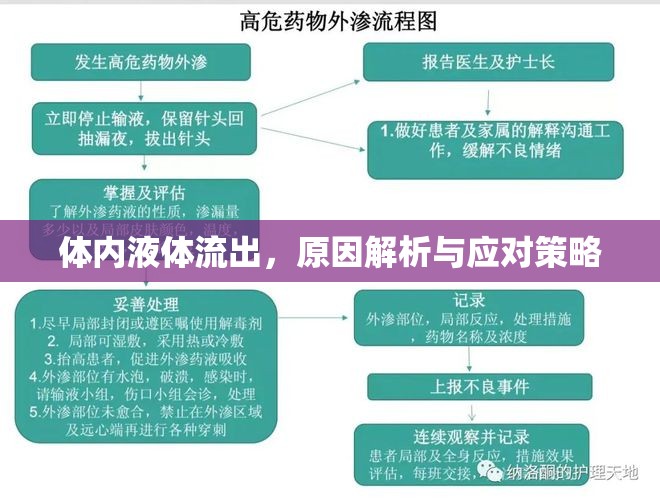 體內(nèi)液體流出，原因解析與應(yīng)對策略