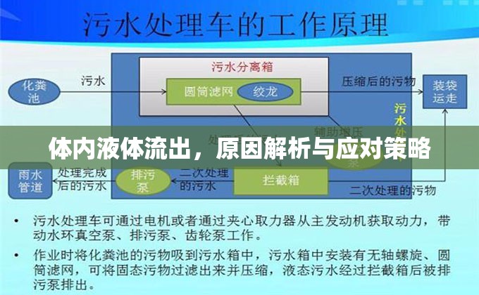 體內(nèi)液體流出，原因解析與應(yīng)對(duì)策略