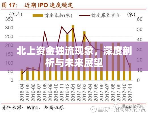 北上資金獨流現象，深度剖析與未來展望