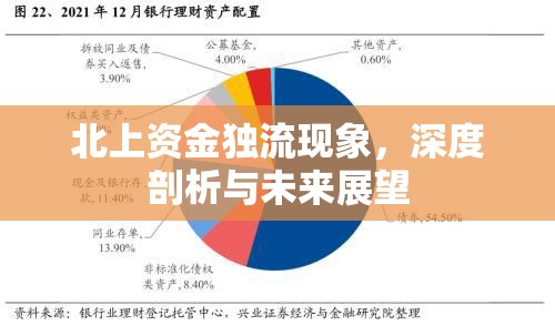 北上資金獨流現(xiàn)象，深度剖析與未來展望