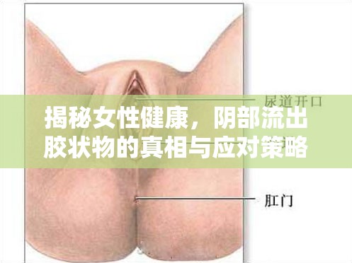 揭秘女性健康，陰部流出膠狀物的真相與應(yīng)對策略