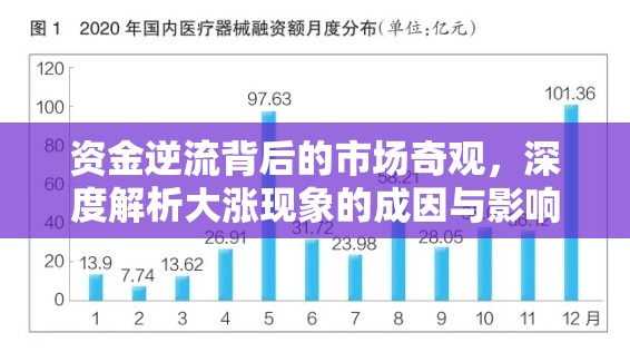 資金逆流背后的市場奇觀，深度解析大漲現象的成因與影響