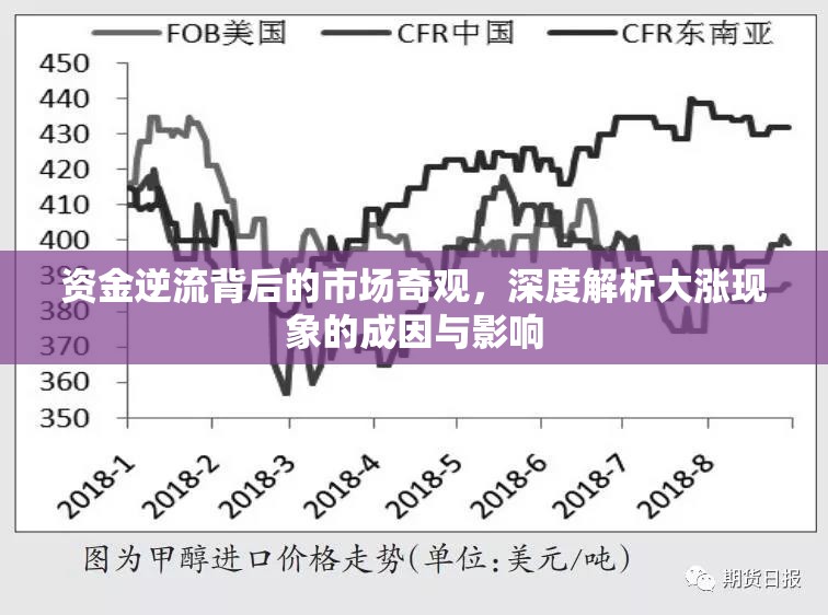 資金逆流背后的市場(chǎng)奇觀，深度解析大漲現(xiàn)象的成因與影響