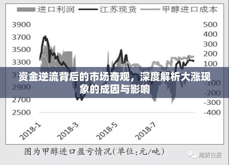 資金逆流背后的市場奇觀，深度解析大漲現象的成因與影響