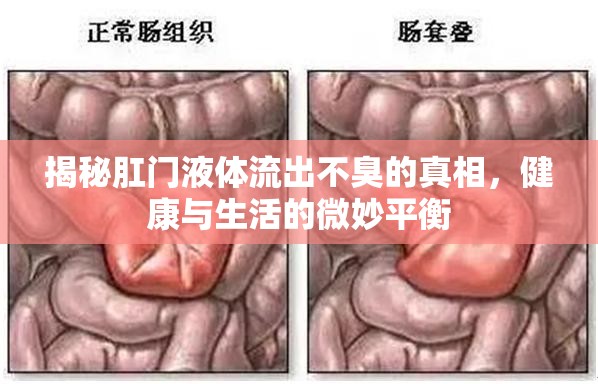 揭秘肛門(mén)液體流出不臭的真相，健康與生活的微妙平衡