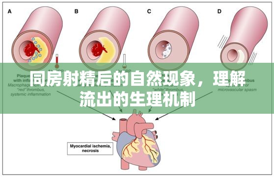 同房射精后的自然現(xiàn)象，理解流出的生理機(jī)制