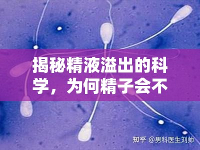 揭秘精液溢出的科學(xué)，為何精子會(huì)不請(qǐng)自來？