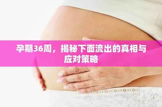 孕期36周，揭秘下面流出的真相與應對策略