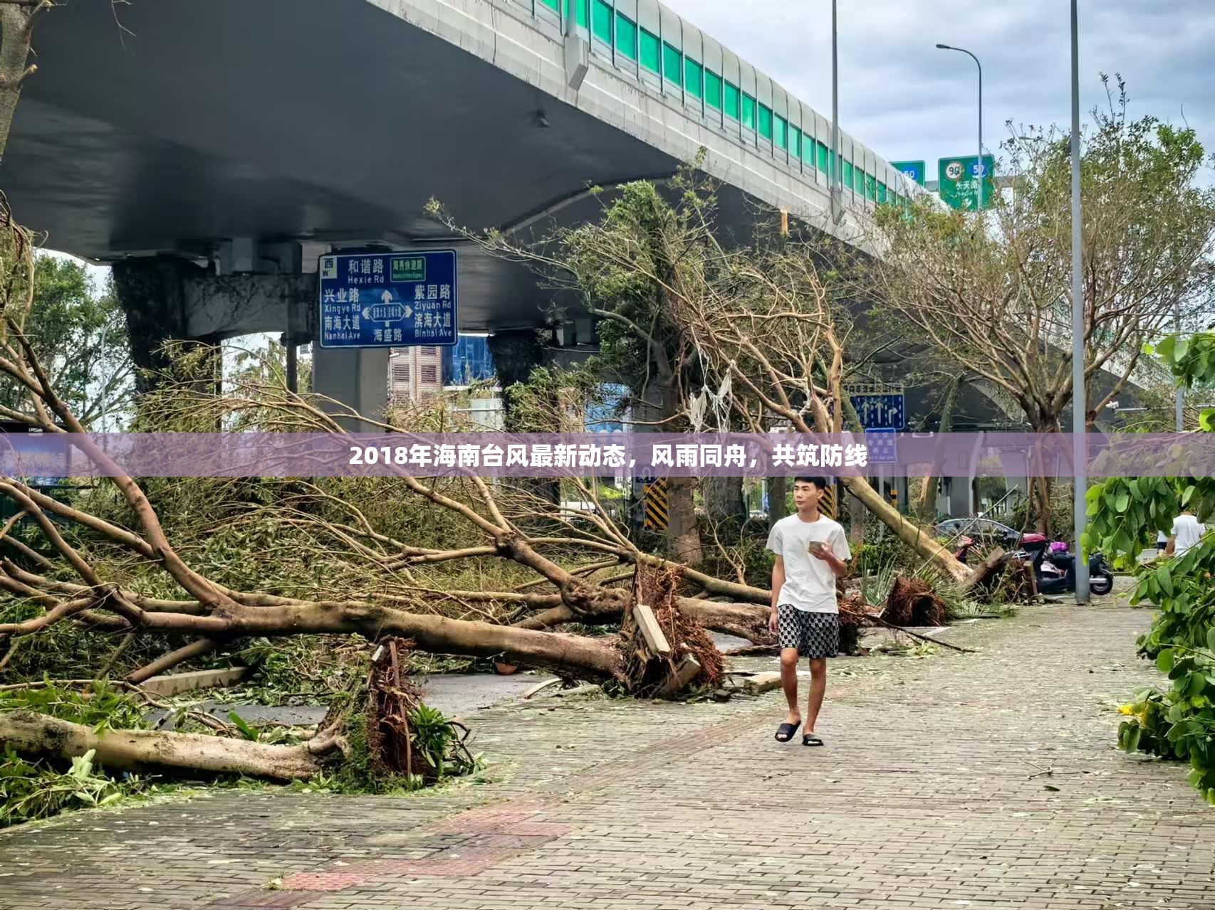 2018年海南臺風最新動態(tài)，風雨同舟，共筑防線