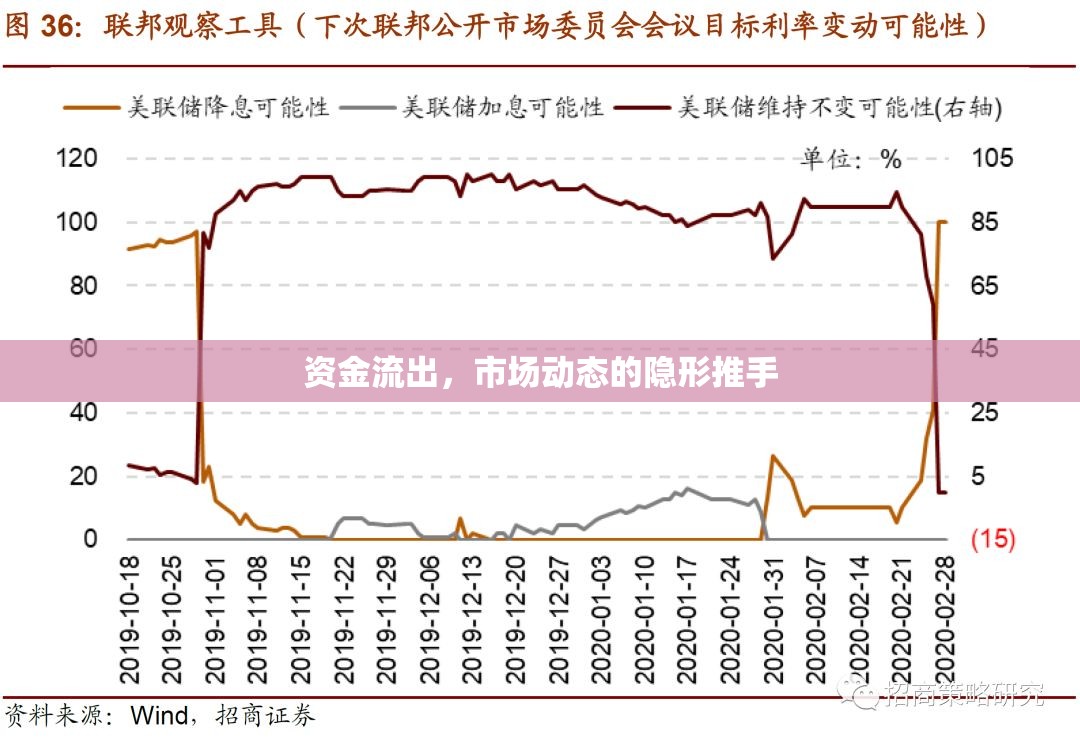 資金流出，市場動態(tài)的隱形推手