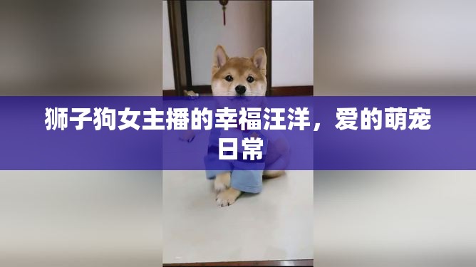 獅子狗女主播的幸福汪洋，愛的萌寵日常