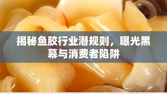 揭秘魚膠行業(yè)潛規(guī)則，曝光黑幕與消費者陷阱