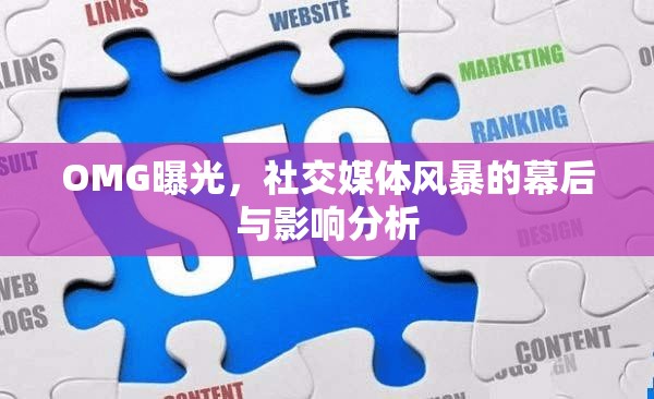 OMG曝光，社交媒體風(fēng)暴的幕后與影響分析