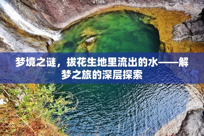 夢境之謎，拔花生地里流出的水——解夢之旅的深層探索