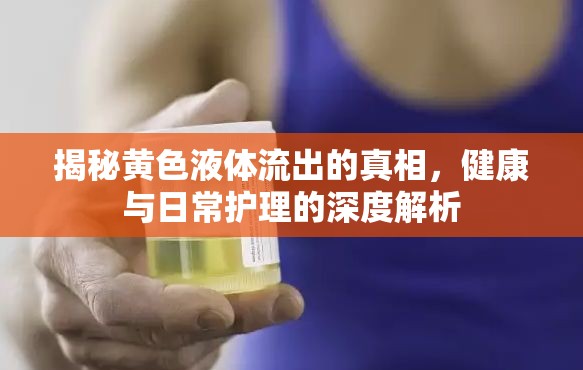 揭秘黃色液體流出的真相，健康與日常護理的深度解析