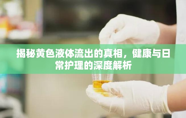 揭秘黃色液體流出的真相，健康與日常護(hù)理的深度解析