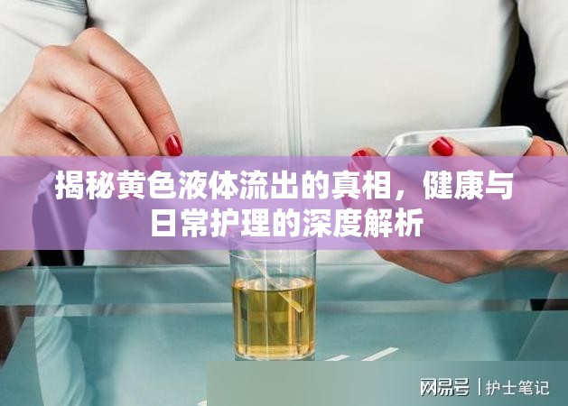 揭秘黃色液體流出的真相，健康與日常護(hù)理的深度解析