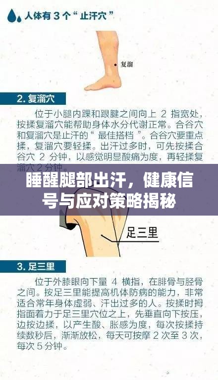 睡醒腿部出汗，健康信號與應(yīng)對策略揭秘