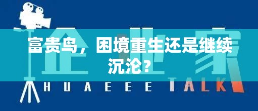 富貴鳥(niǎo)，困境重生還是繼續(xù)沉淪？